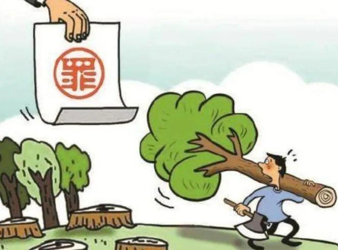 【以案普法】赫山区法院判决一起盗伐林木案